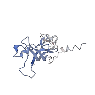 4982_6rqh_G_v1-1
RNA Polymerase I Closed Conformation 1 (CC1)