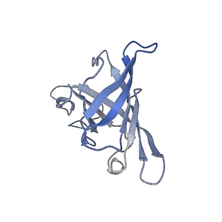 4982_6rqh_H_v1-1
RNA Polymerase I Closed Conformation 1 (CC1)