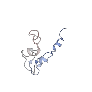 4982_6rqh_J_v1-1
RNA Polymerase I Closed Conformation 1 (CC1)
