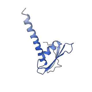 4982_6rqh_K_v1-1
RNA Polymerase I Closed Conformation 1 (CC1)