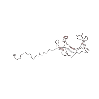4982_6rqh_N_v1-1
RNA Polymerase I Closed Conformation 1 (CC1)