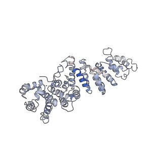 4982_6rqh_O_v1-1
RNA Polymerase I Closed Conformation 1 (CC1)