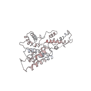 4982_6rqh_R_v1-1
RNA Polymerase I Closed Conformation 1 (CC1)