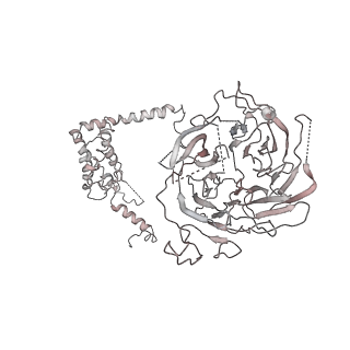 4982_6rqh_S_v1-1
RNA Polymerase I Closed Conformation 1 (CC1)