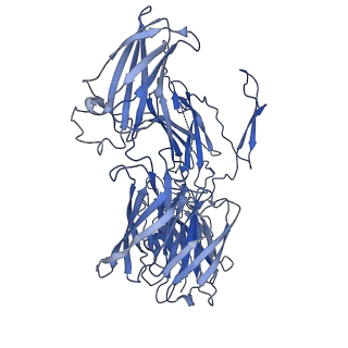 4983_6rqj_B_v1-2
Structure of human complement C5 complexed with tick inhibitors OmCI, RaCI1 and CirpT1