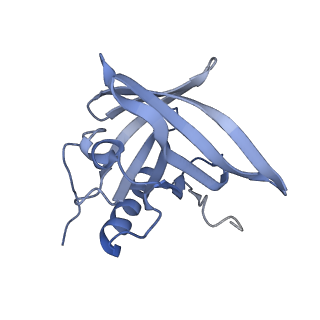 4983_6rqj_C_v1-2
Structure of human complement C5 complexed with tick inhibitors OmCI, RaCI1 and CirpT1