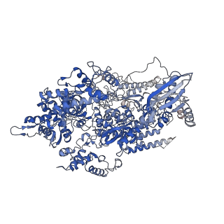 4984_6rql_A_v1-1
RNA Polymerase I Closed Conformation 2 (CC2)