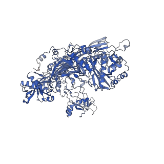 4984_6rql_B_v1-1
RNA Polymerase I Closed Conformation 2 (CC2)