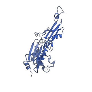 4984_6rql_C_v1-1
RNA Polymerase I Closed Conformation 2 (CC2)