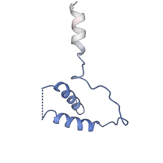 4984_6rql_D_v1-1
RNA Polymerase I Closed Conformation 2 (CC2)