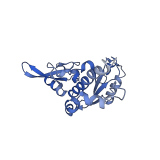 4984_6rql_E_v1-1
RNA Polymerase I Closed Conformation 2 (CC2)