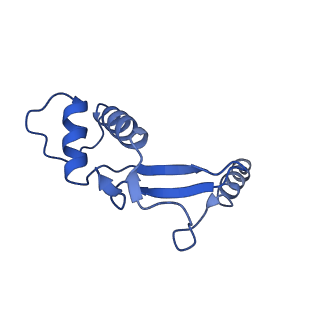 4984_6rql_F_v1-1
RNA Polymerase I Closed Conformation 2 (CC2)