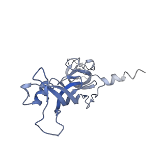 4984_6rql_G_v1-1
RNA Polymerase I Closed Conformation 2 (CC2)