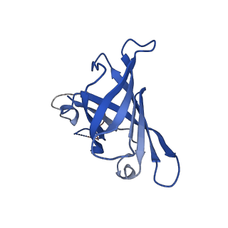 4984_6rql_H_v1-1
RNA Polymerase I Closed Conformation 2 (CC2)