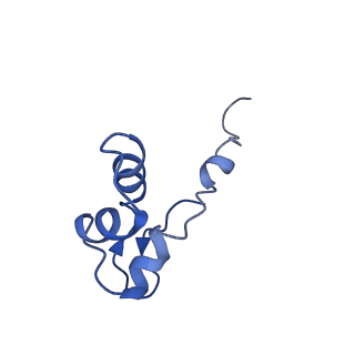 4984_6rql_J_v1-1
RNA Polymerase I Closed Conformation 2 (CC2)