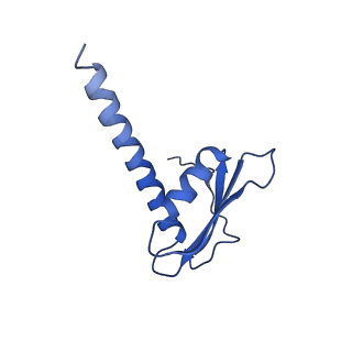 4984_6rql_K_v1-1
RNA Polymerase I Closed Conformation 2 (CC2)