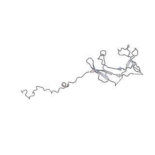 4984_6rql_N_v1-1
RNA Polymerase I Closed Conformation 2 (CC2)