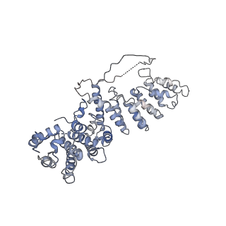 4984_6rql_O_v1-1
RNA Polymerase I Closed Conformation 2 (CC2)