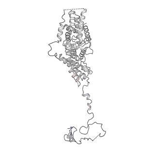 4984_6rql_Q_v1-1
RNA Polymerase I Closed Conformation 2 (CC2)