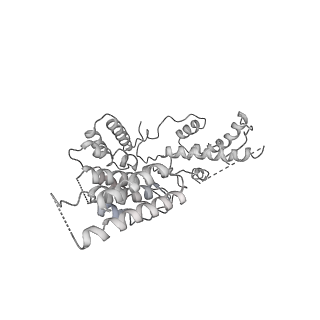 4984_6rql_R_v1-1
RNA Polymerase I Closed Conformation 2 (CC2)