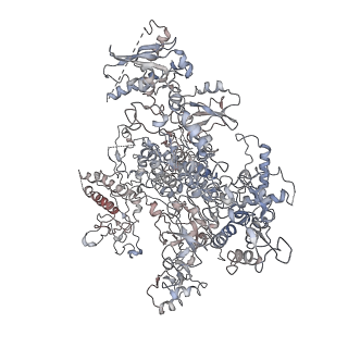 4985_6rqt_A_v1-0
RNA Polymerase I-tWH-Rrn3-DNA