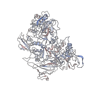 4985_6rqt_B_v1-0
RNA Polymerase I-tWH-Rrn3-DNA
