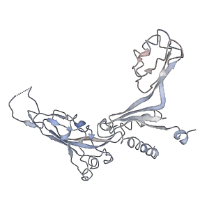 4985_6rqt_C_v1-0
RNA Polymerase I-tWH-Rrn3-DNA
