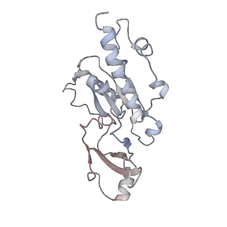 4985_6rqt_E_v1-0
RNA Polymerase I-tWH-Rrn3-DNA