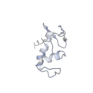 4985_6rqt_F_v1-0
RNA Polymerase I-tWH-Rrn3-DNA