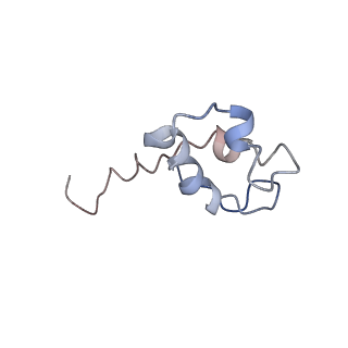 4985_6rqt_J_v1-0
RNA Polymerase I-tWH-Rrn3-DNA