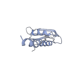 4985_6rqt_K_v1-0
RNA Polymerase I-tWH-Rrn3-DNA