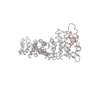 4985_6rqt_O_v1-0
RNA Polymerase I-tWH-Rrn3-DNA
