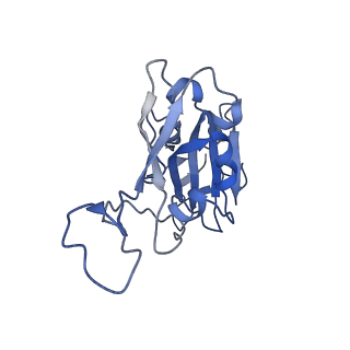 24649_7rr0_A_v1-2
SARS-CoV-2 receptor binding domain bound to Fab PDI 222