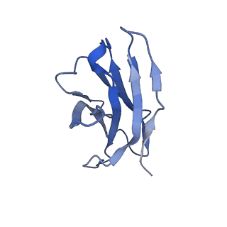 24649_7rr0_B_v1-2
SARS-CoV-2 receptor binding domain bound to Fab PDI 222