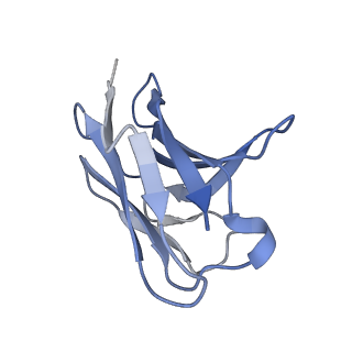 24649_7rr0_C_v1-2
SARS-CoV-2 receptor binding domain bound to Fab PDI 222