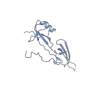 24652_7rr5_5_v1-0
Structure of ribosomal complex bound with Rbg1/Tma46