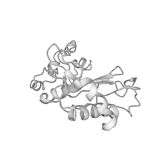 24652_7rr5_L1_v1-0
Structure of ribosomal complex bound with Rbg1/Tma46