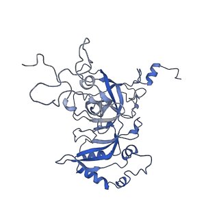 24652_7rr5_LB_v1-0
Structure of ribosomal complex bound with Rbg1/Tma46