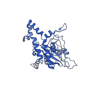 24652_7rr5_LD_v1-0
Structure of ribosomal complex bound with Rbg1/Tma46