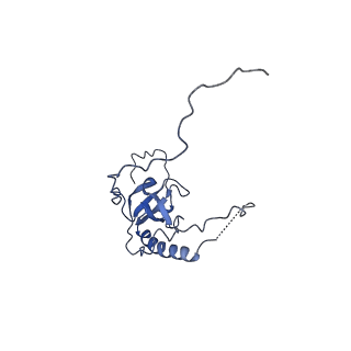24652_7rr5_LE_v1-0
Structure of ribosomal complex bound with Rbg1/Tma46