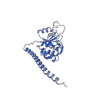 24652_7rr5_LF_v1-0
Structure of ribosomal complex bound with Rbg1/Tma46