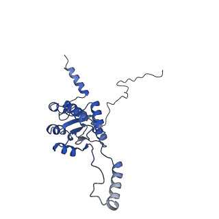 24652_7rr5_LG_v1-0
Structure of ribosomal complex bound with Rbg1/Tma46