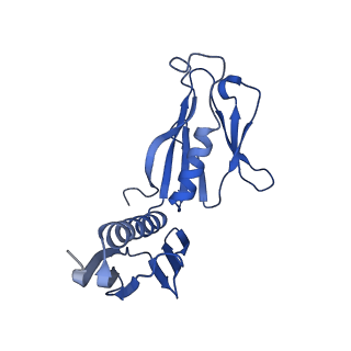 24652_7rr5_LH_v1-0
Structure of ribosomal complex bound with Rbg1/Tma46
