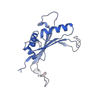 24652_7rr5_LJ_v1-0
Structure of ribosomal complex bound with Rbg1/Tma46