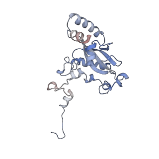 24652_7rr5_LN_v1-0
Structure of ribosomal complex bound with Rbg1/Tma46