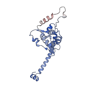 24652_7rr5_LO_v1-0
Structure of ribosomal complex bound with Rbg1/Tma46