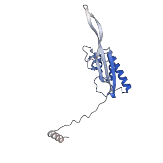 24652_7rr5_LP_v1-0
Structure of ribosomal complex bound with Rbg1/Tma46
