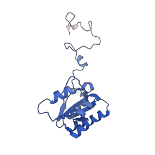 24652_7rr5_LQ_v1-0
Structure of ribosomal complex bound with Rbg1/Tma46