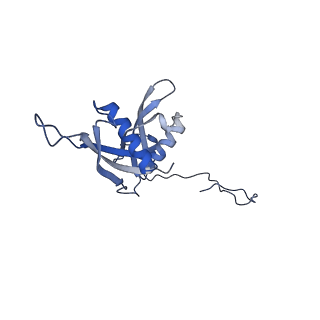 24652_7rr5_LS_v1-0
Structure of ribosomal complex bound with Rbg1/Tma46