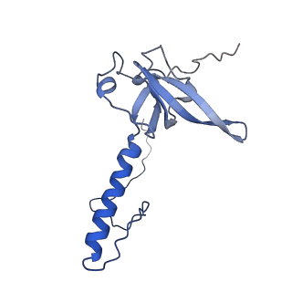24652_7rr5_LT_v1-0
Structure of ribosomal complex bound with Rbg1/Tma46